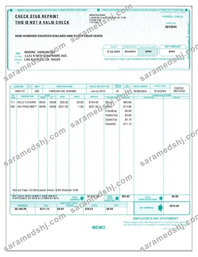 employee's pay statement template in Word and PDF formats.pdf, 1